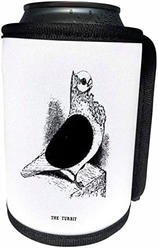 3Droza Vintage golubova Ilustracija Slatka turbitna mašta. - Može li se hladnije flash omotati