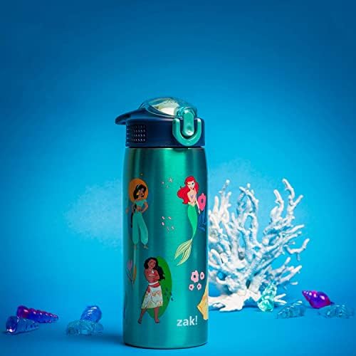 Zak dizajnira Disney Princess bocu za vodu za putovanja i kod kuće, 19 oz Vakuum izoliranog nehrđajućeg