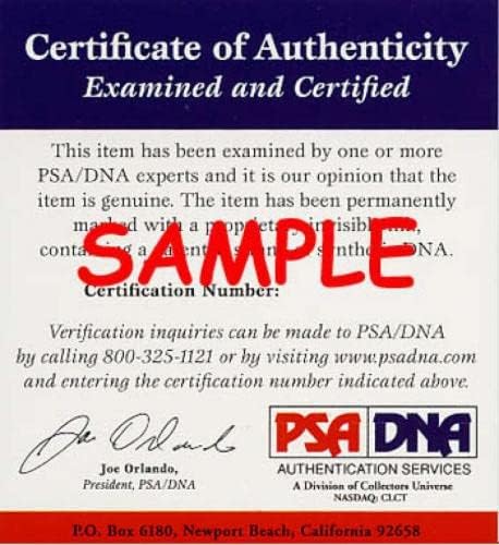Yogi Berra 8 PSA DNA COA Autograph Američka liga Oal potpisan bejzbol - autogramirani bejzbol